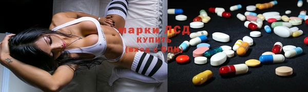прущие грибы Михайловск