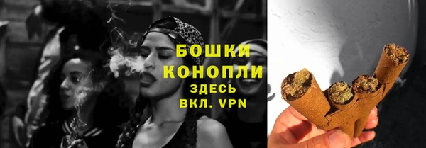 прущие грибы Михайловск