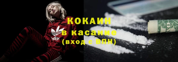 прущие грибы Михайловск