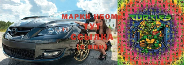 прущие грибы Михайловск