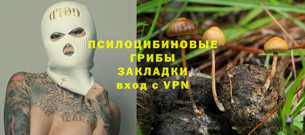 соль курить ск Медвежьегорск