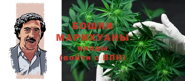 прущие грибы Михайловск