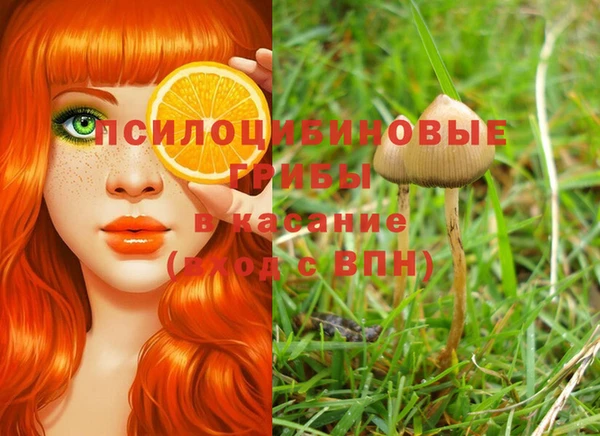 синтетический гашиш Михайловка